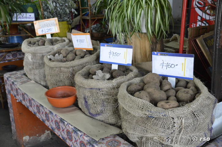 Kartoffeln auf dem Markt in La Candelaria, Bogotá