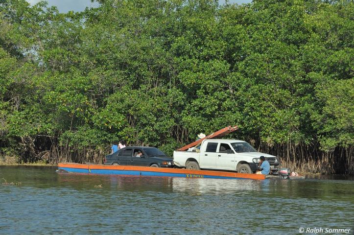 Autofähre im Mangrovengebiet bei Monterrico