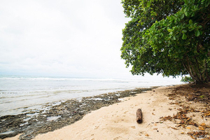 Strand in Cahuita