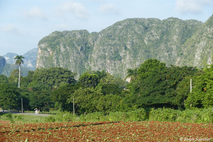 Mogotes im Tal von Viñales auf Kuba