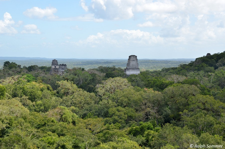 Über dem Dschungel von Tikal