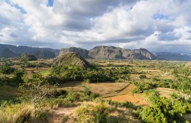 Viñalestal