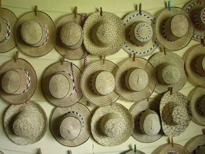 Sombreros Pintados Panama