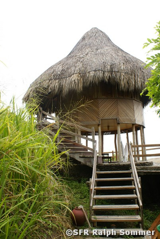 Bungalow Palmhütte