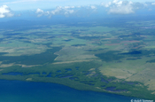 Zuckerrohrfelder auf Kuba vom Flugzeug aus