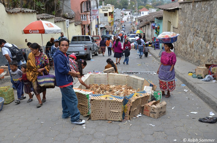 Kükenverkauf in Chichicastenango