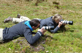Birding am Antisana in Ecuador 