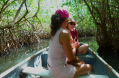 Durch den Mangrovenkanal