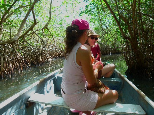 Durch den Mangrovenkanal