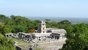 Mayastätte Palenque in Mexiko