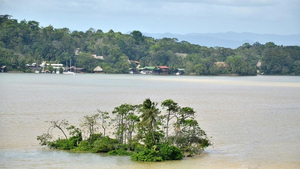 Kleine Flußinsel auf dem Río Dulce