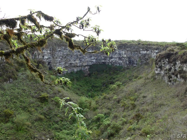 Los Gemelos Caldera im Hochland von Santa Cruz, Galapagos