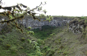Los Gemelos Caldera im Hochland von Santa Cruz, Galapagos