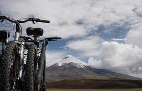 Mountainbikes