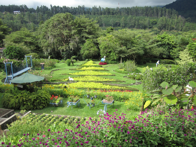 Blick auf einen Garten in Boquete