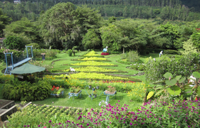 Blick auf einen Garten in Boquete