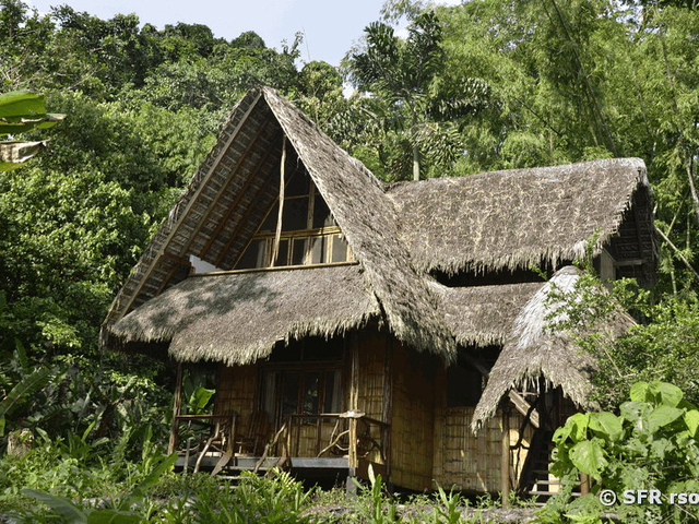 Selina Amazon Lodge Bungalow Ecuador