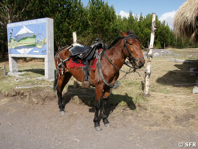 Eingang zum Nationalpark Cotopaxi