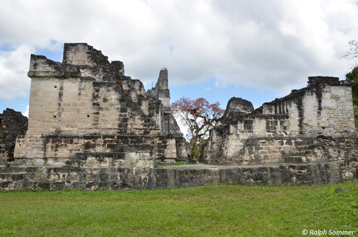 Zentralakropolis in Tikal