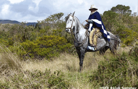 Reiter Ecuador