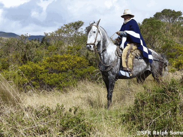 Reiter Ecuador