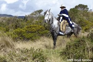 Reiter Ecuador