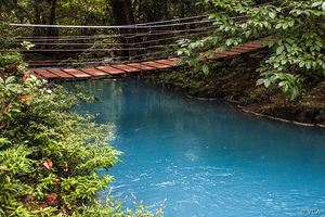 Hängebrücke im Tenorio-Vulkan-Nationalpark Costa Rica