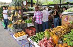 Wochenmarkt in El Valle