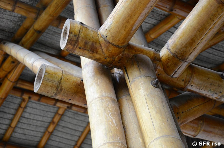 Bambusverbindungen
