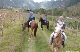 Auf dem Pferd im Krater Pululahua