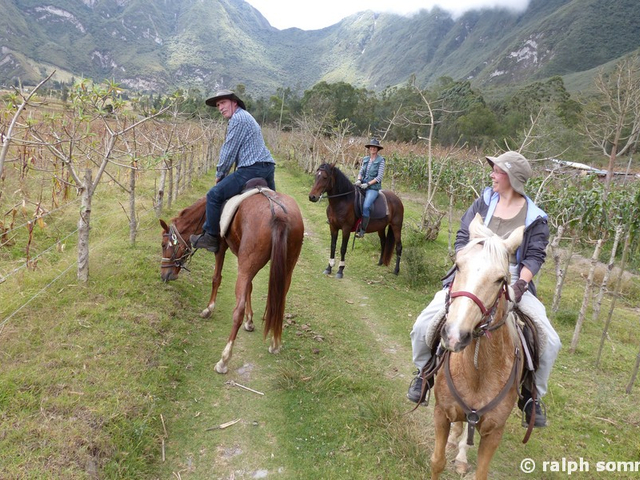 Auf dem Pferd im Krater Pululahua