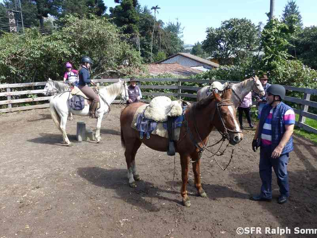 Reitplatz der Hazienda La Alegría