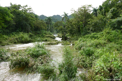 Fluß im Naturreservat El Nicho Zentralkuba