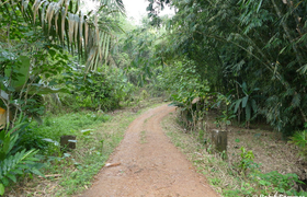 Weg zur Finca Silanche