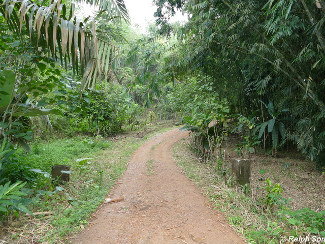 Weg zur Finca Silanche