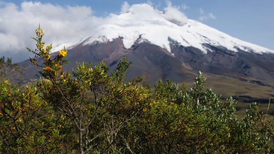 Vulkan Cotopaxi