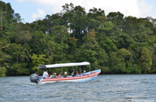 Touristen im Motorboot auf dem Rio Dulce