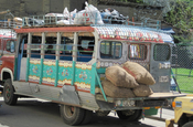 Chivera Bus mit Marktprodukten