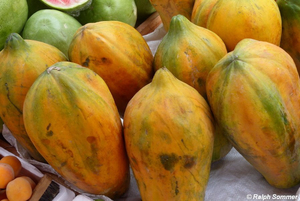 Papayas