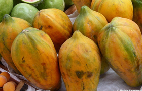 Papayas