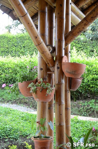 Bambussäule mit Blumentöpfen