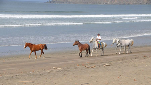 Playa Venao in Panama