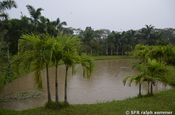 Lagune mit Palmen bei Villavicencio