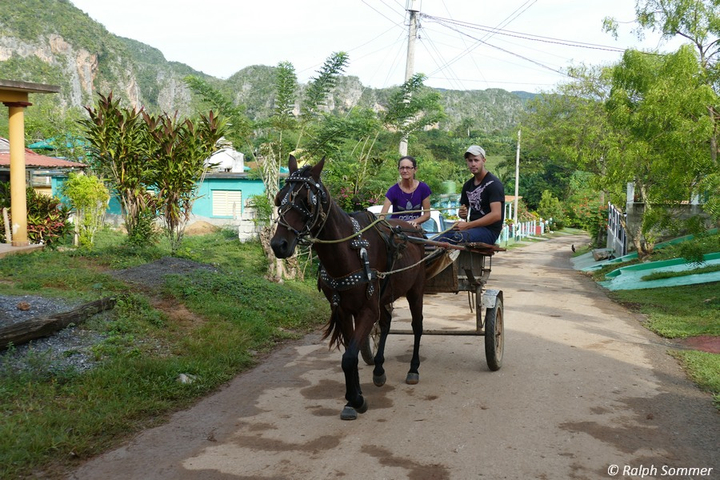 Pferdekutsche auf der Insel Kuba in der Karibik