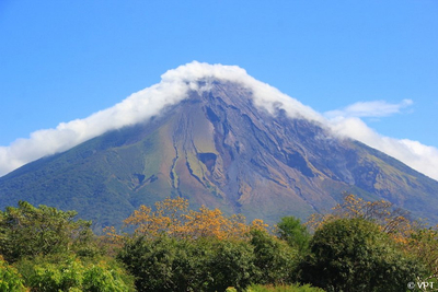Vegetation am Vulkan Concepción
