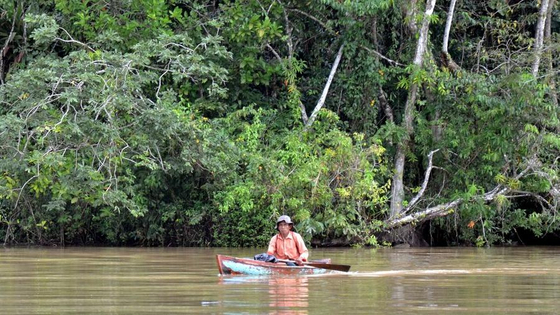 Mann im Kanu auf dem Río Dulce