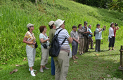 Reisegruppe vor der Maya Stele