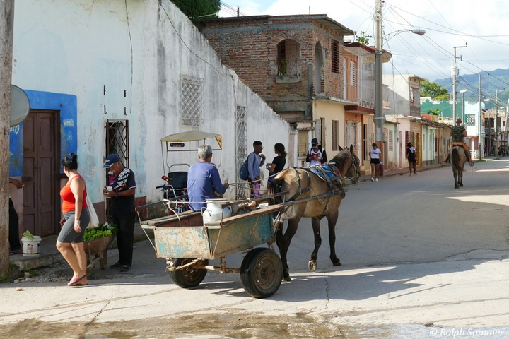 Transportmittel per Pferd in Trinidad auf Kuba