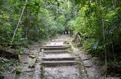 Wanderpfad Nationalpark Tikal