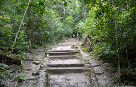 Wanderpfad Nationalpark Tikal